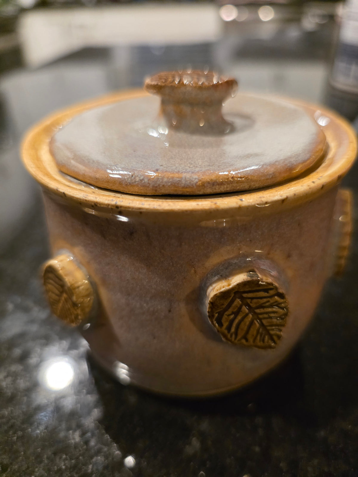 Handmade Stoneware Lidded Jar with Pressed Leaf Medallions – Wheel-Thrown Sugar Bowl, Salt Cellar or Garlic Keeper