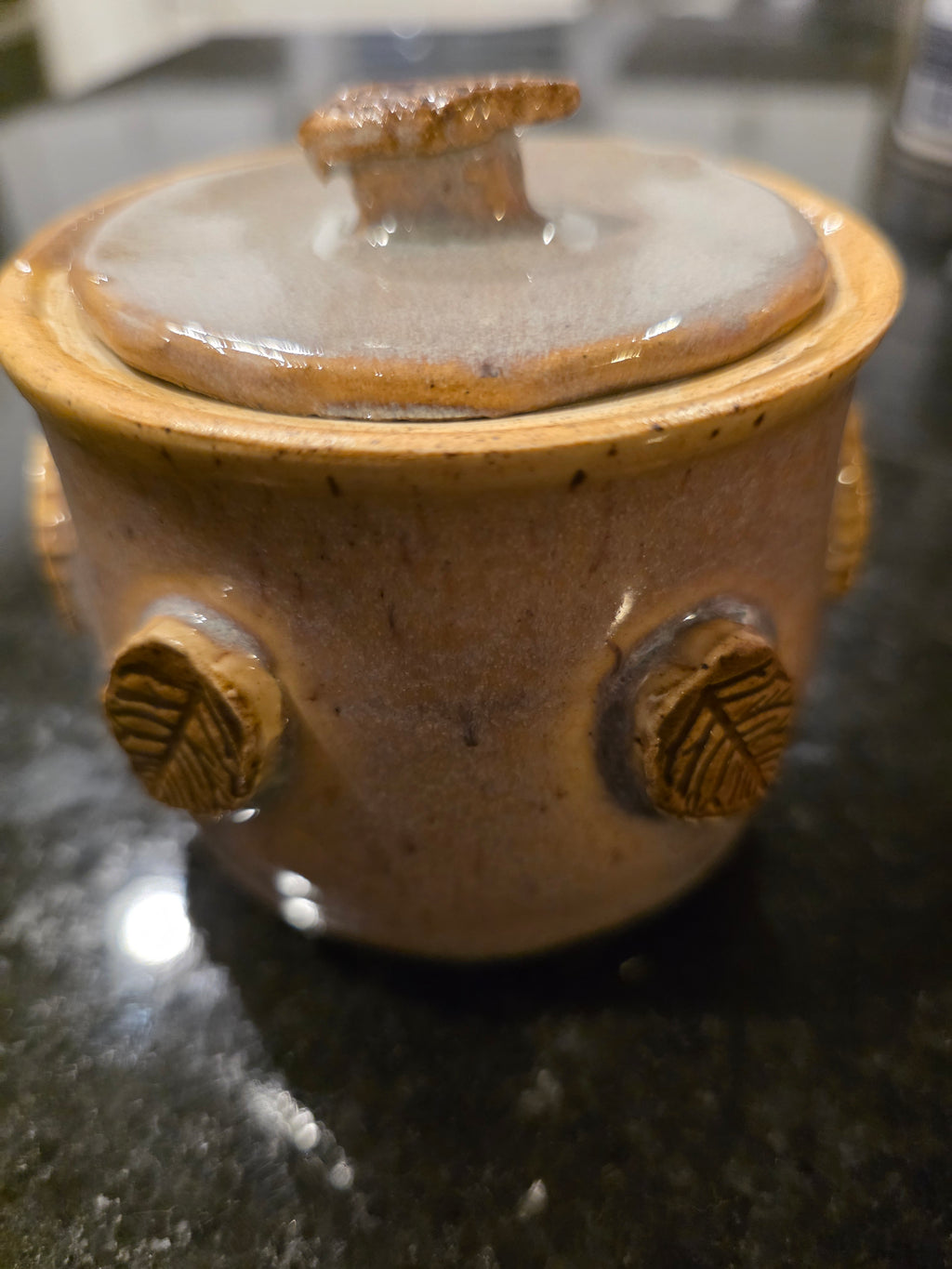Handmade Stoneware Lidded Jar with Pressed Leaf Medallions – Wheel-Thrown Sugar Bowl, Salt Cellar or Garlic Keeper