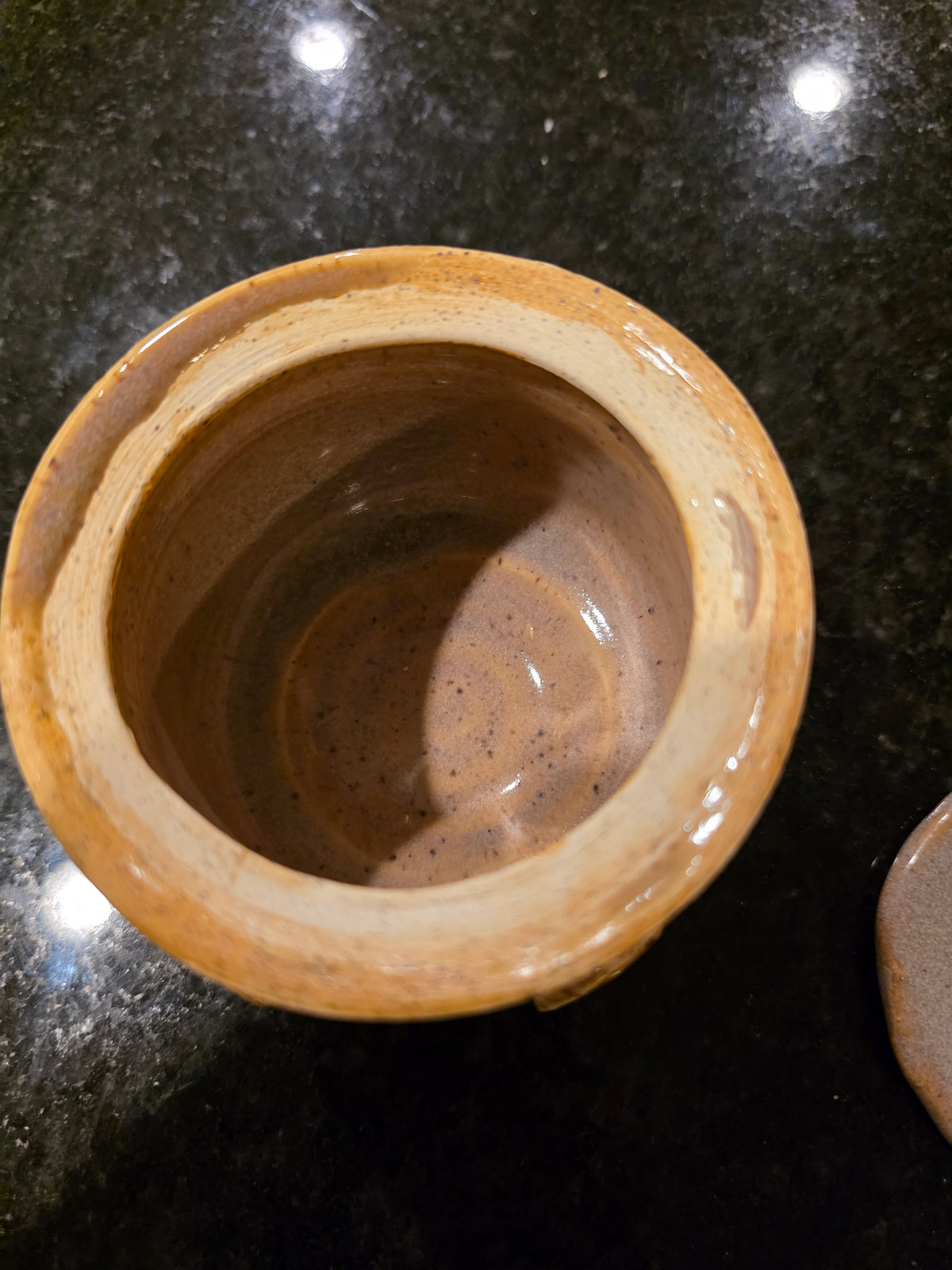 Handmade Stoneware Lidded Jar with Pressed Leaf Medallions – Wheel-Thrown Sugar Bowl, Salt Cellar or Garlic Keeper