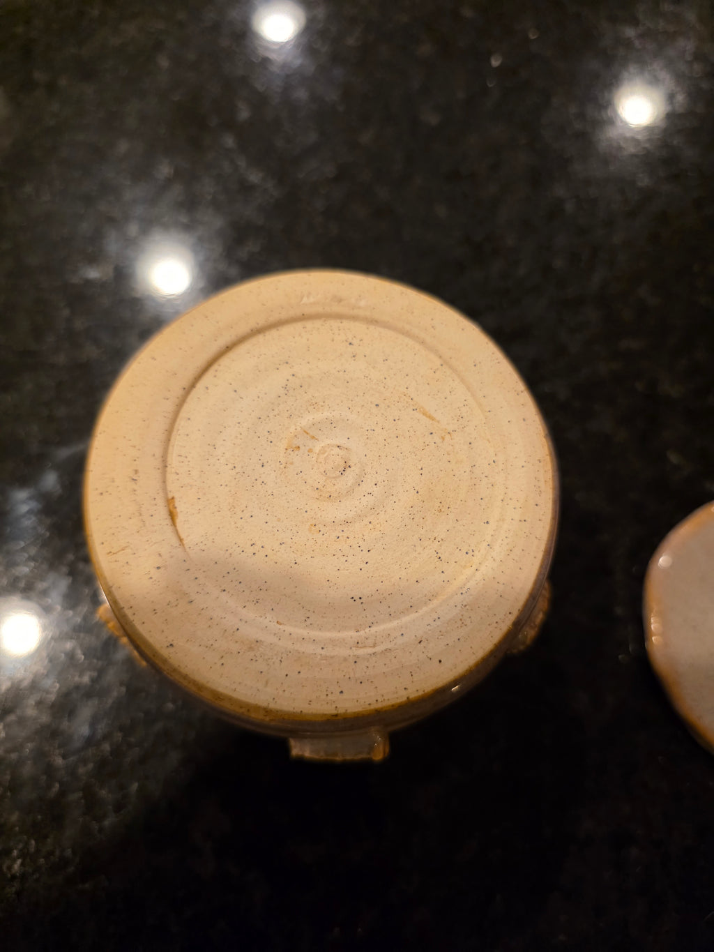 Handmade Stoneware Lidded Jar with Pressed Leaf Medallions – Wheel-Thrown Sugar Bowl, Salt Cellar or Garlic Keeper