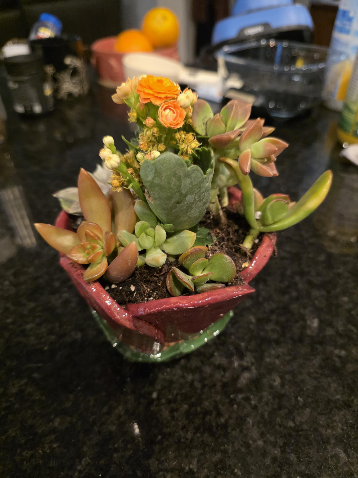 Rose blossom planter, handmade by Outer Reef Ceramics